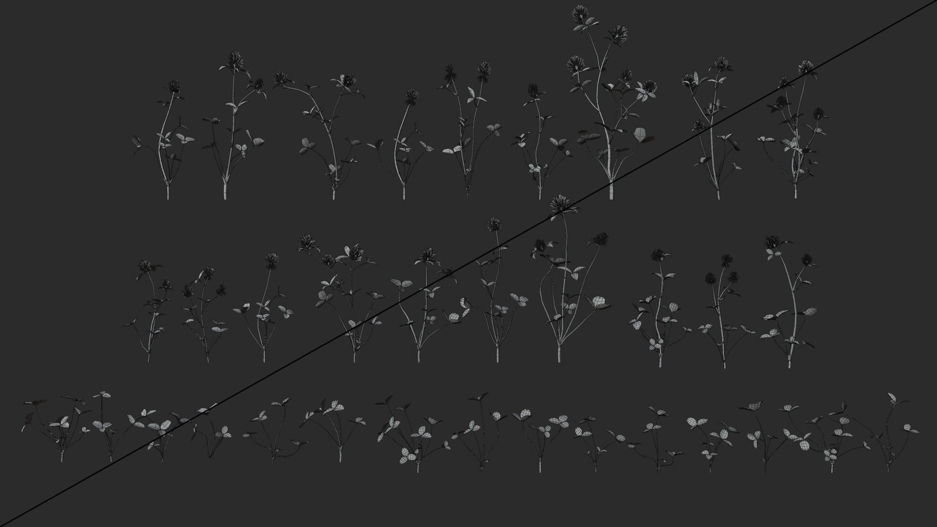 Clover Collection vol01 3D model_6