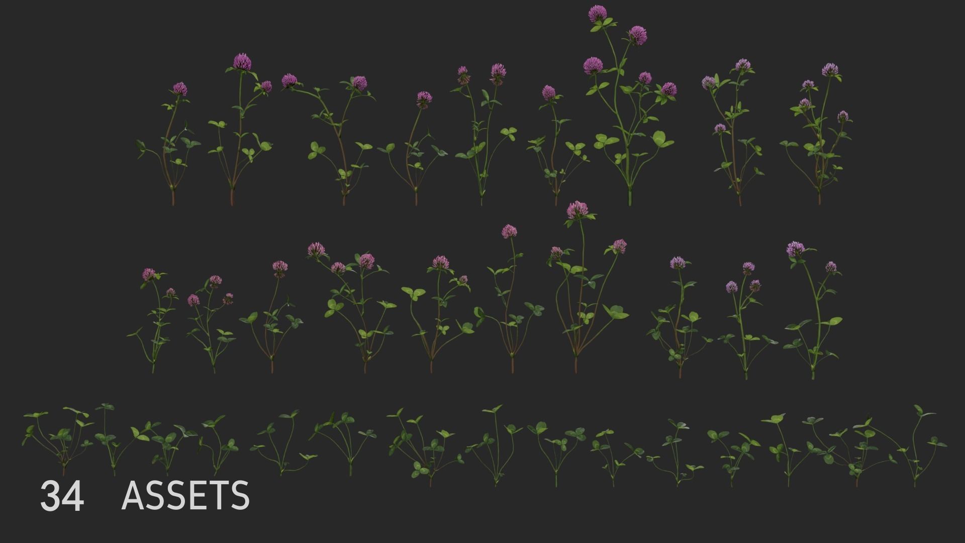 Clover Collection vol01 3D model_3