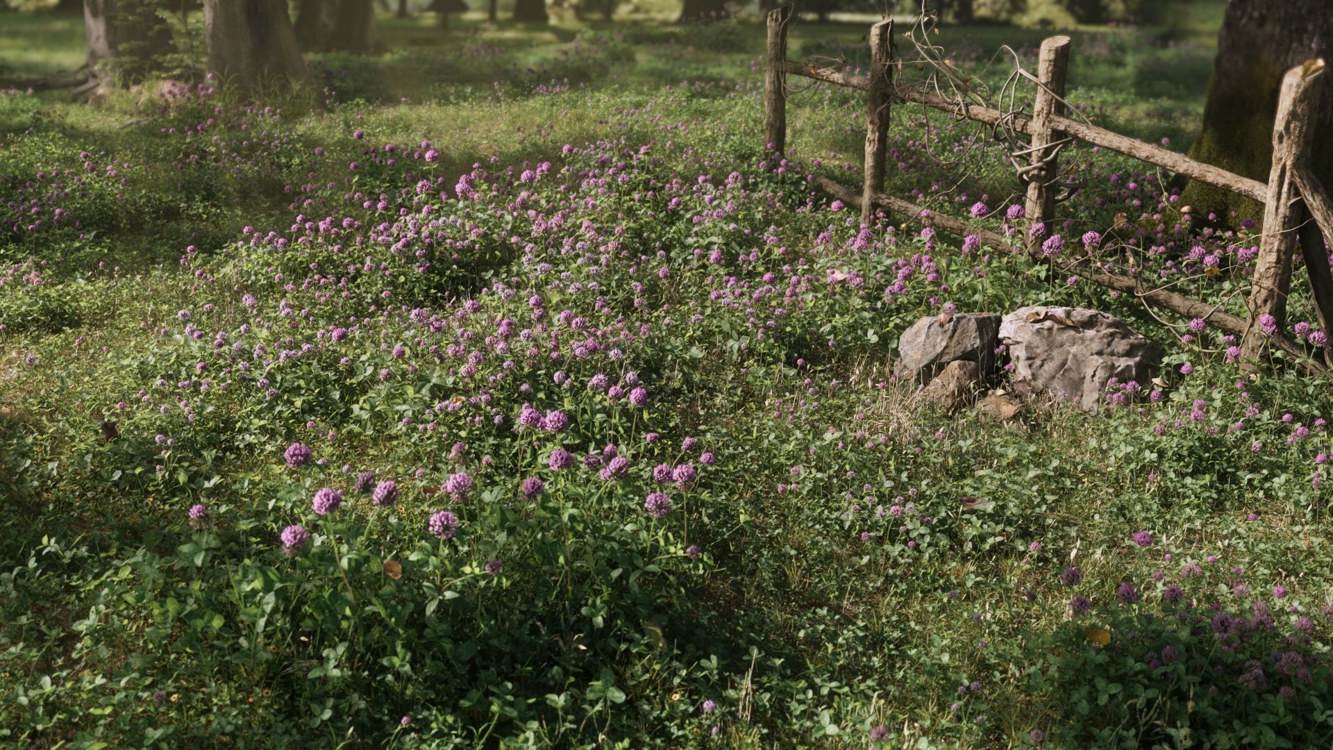 Clover Collection vol01 3D model_1