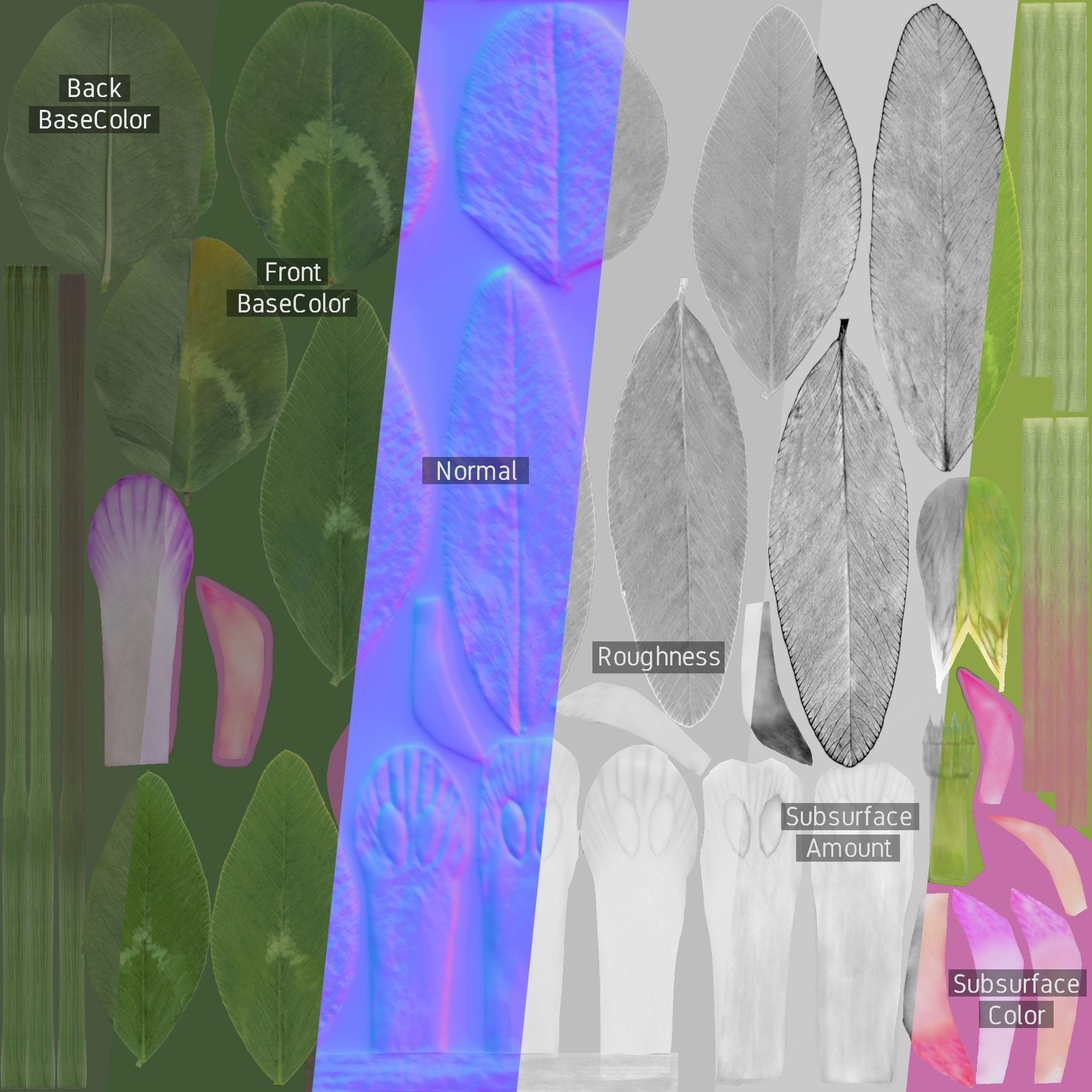 Clover Collection vol01 3D model_9