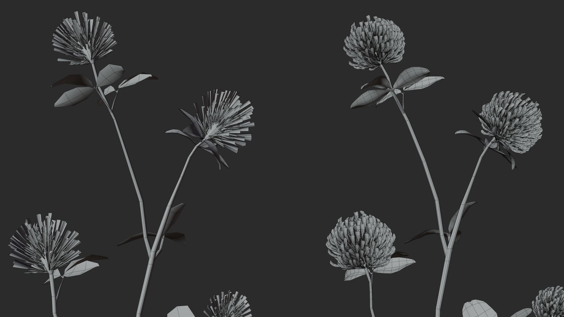 Clover Collection vol01 3D model_8