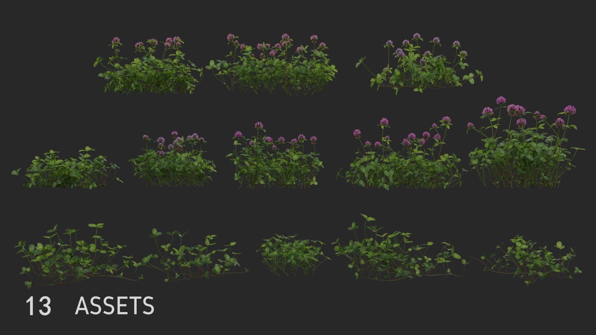 Clover Collection vol01 3D model_5