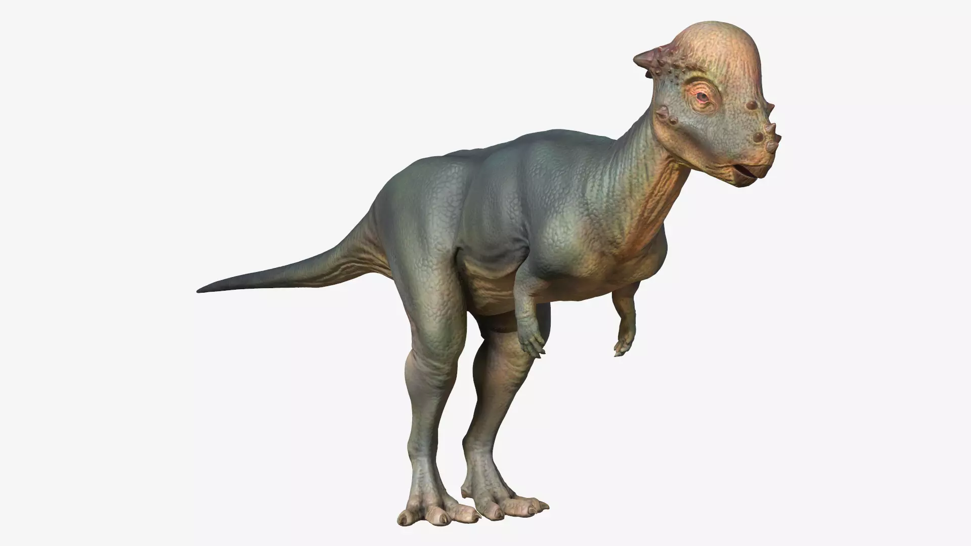 Pachycephalosaurus dinosaur Low-poly 3D model