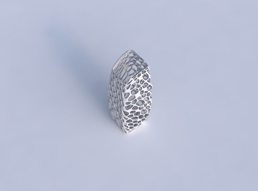 Vase arc rectangle with twisted dense organic lattice 3D print model_1