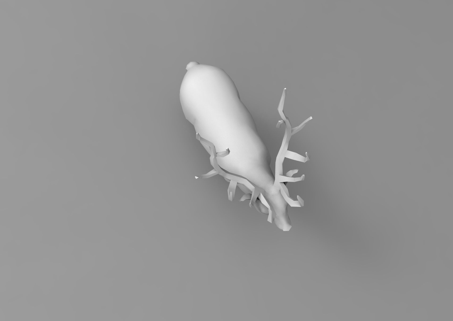 Cartoon Deer Rigged  Low-poly 3D model_35