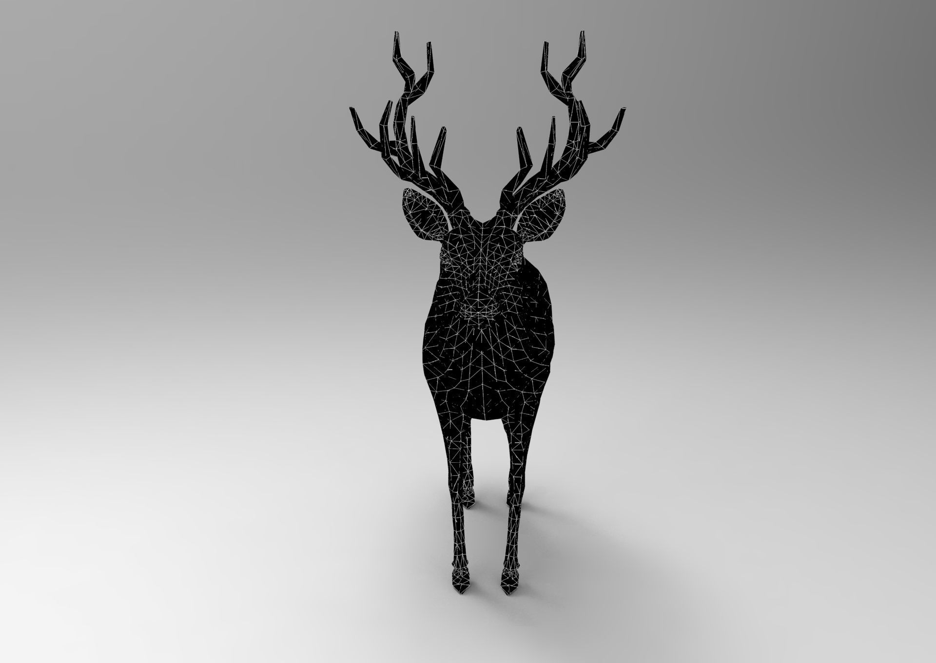 Cartoon Deer Rigged  Low-poly 3D model_39