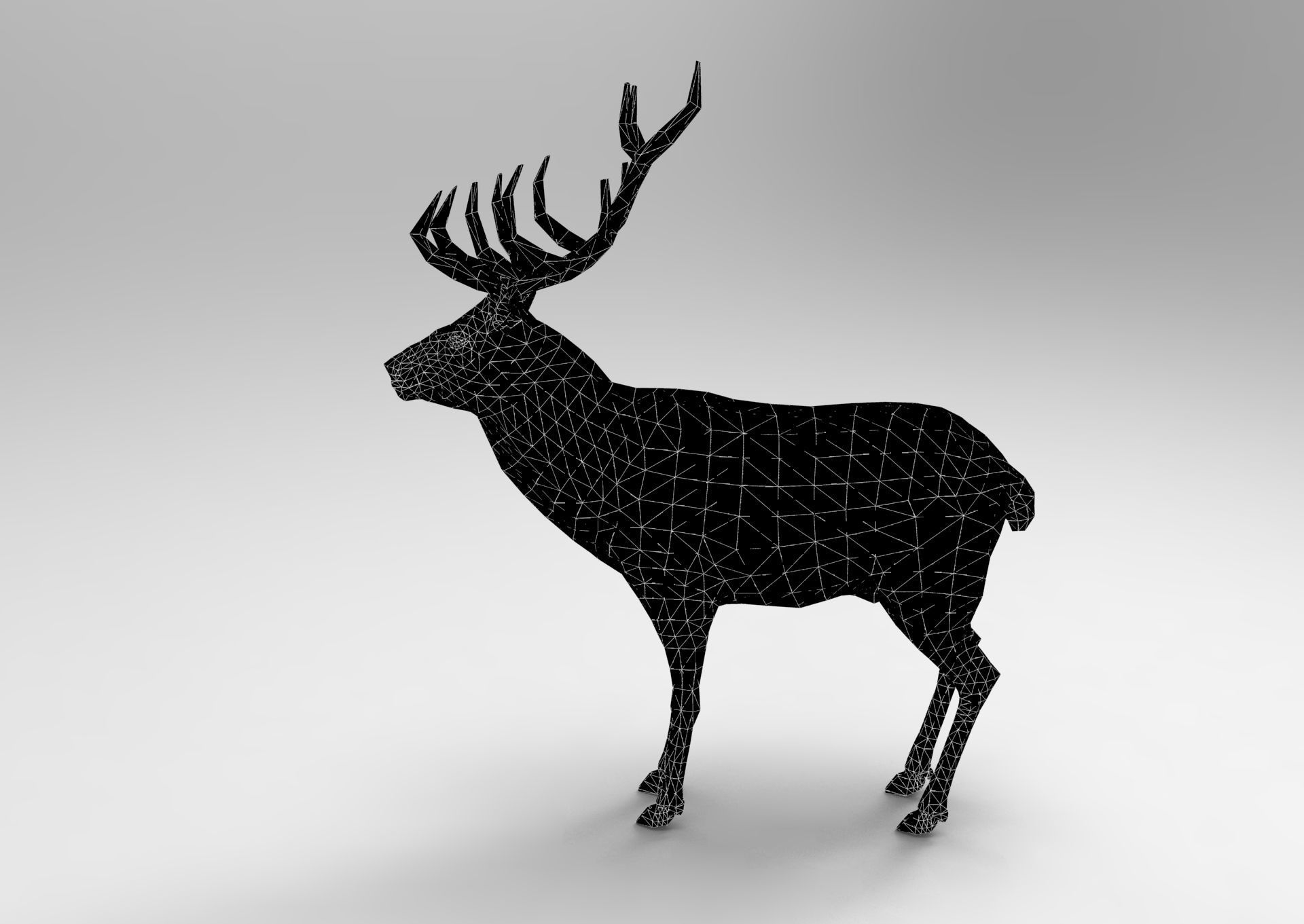 Cartoon Deer Rigged  Low-poly 3D model_30
