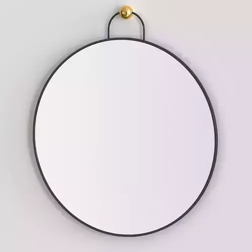 West Elm - Hook Mirror