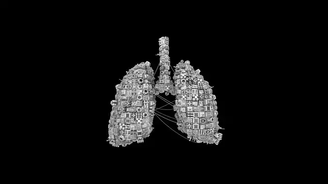 Human Lungs shaped Spaceship