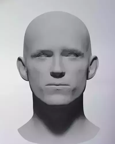 Tom Holland - Head 3D model