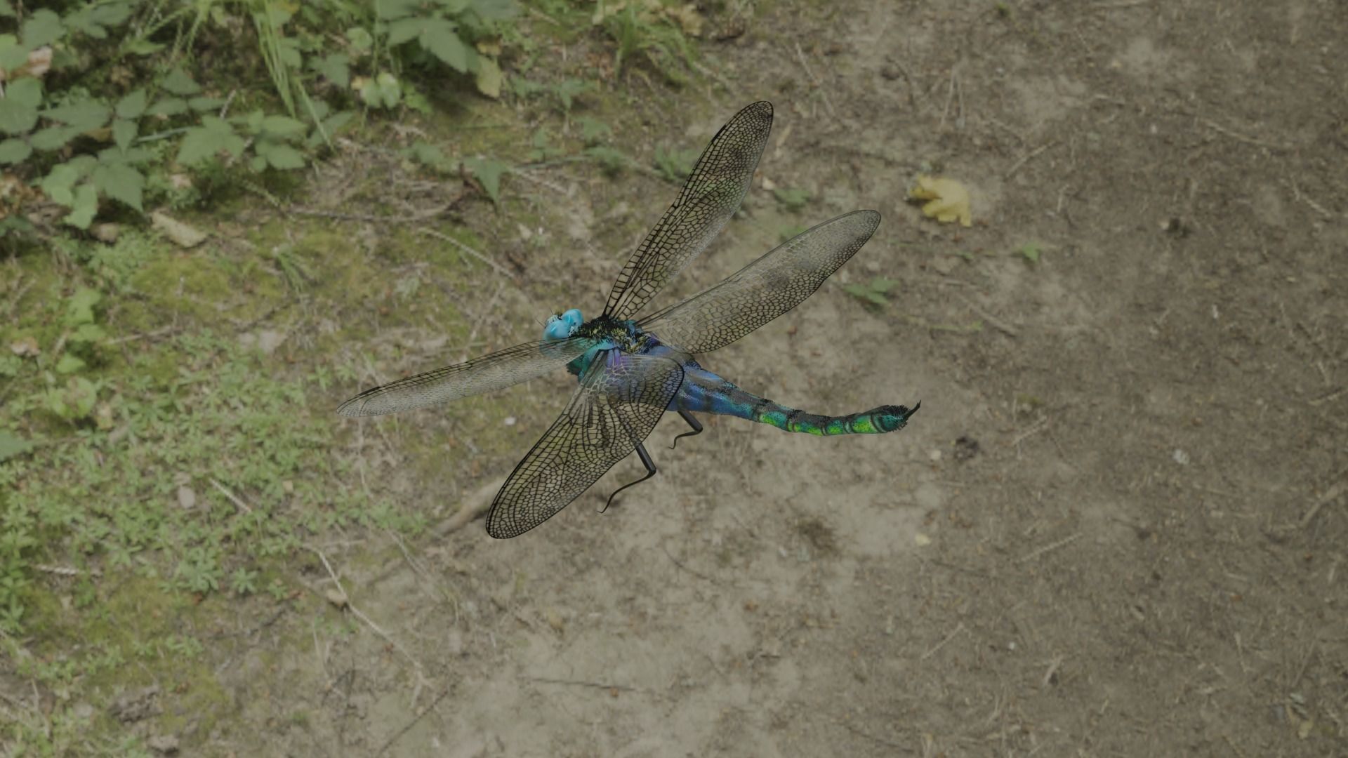 DragonFly 3D model in flight 3D model_6