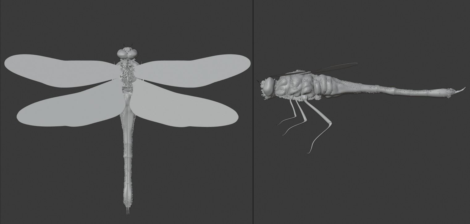 DragonFly 3D model in flight 3D model_2