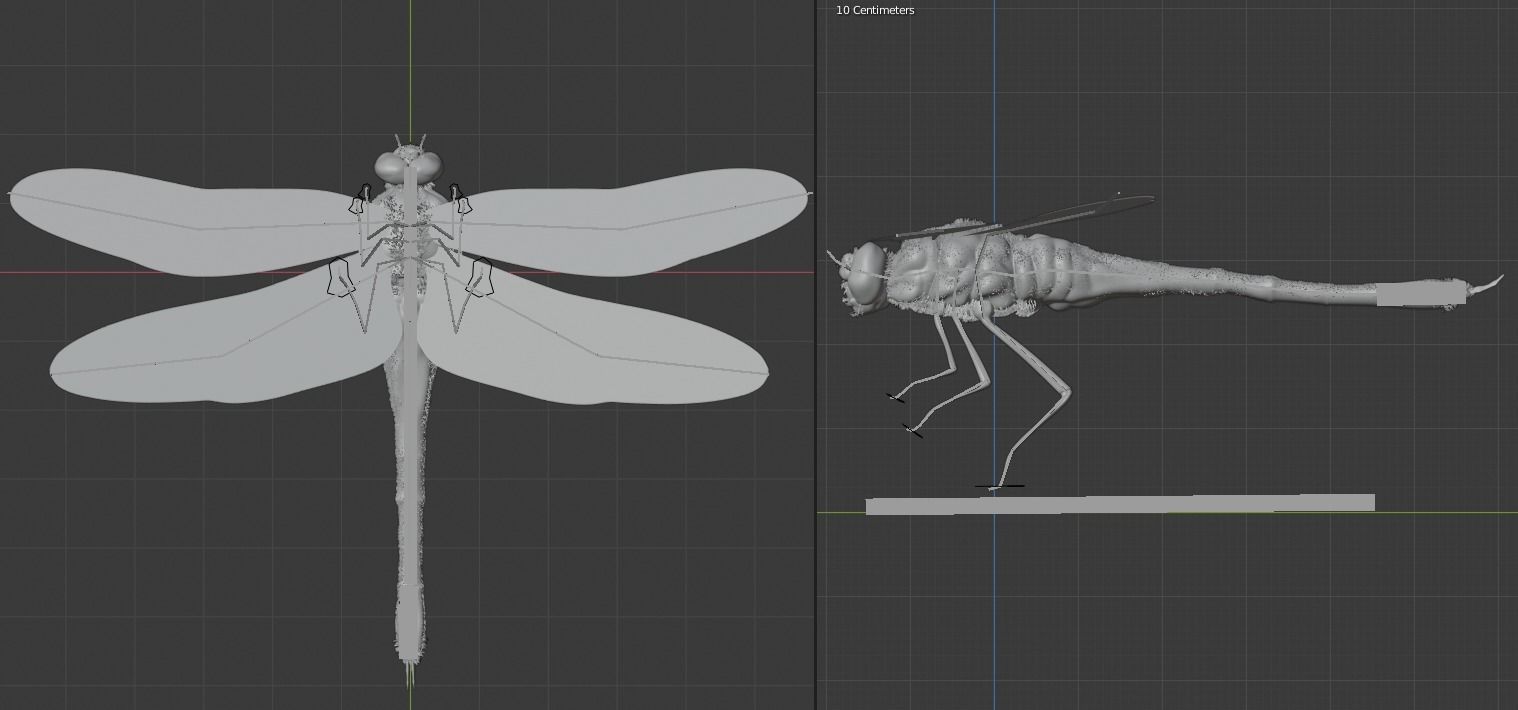 DragonFly 3D model in flight 3D model_3