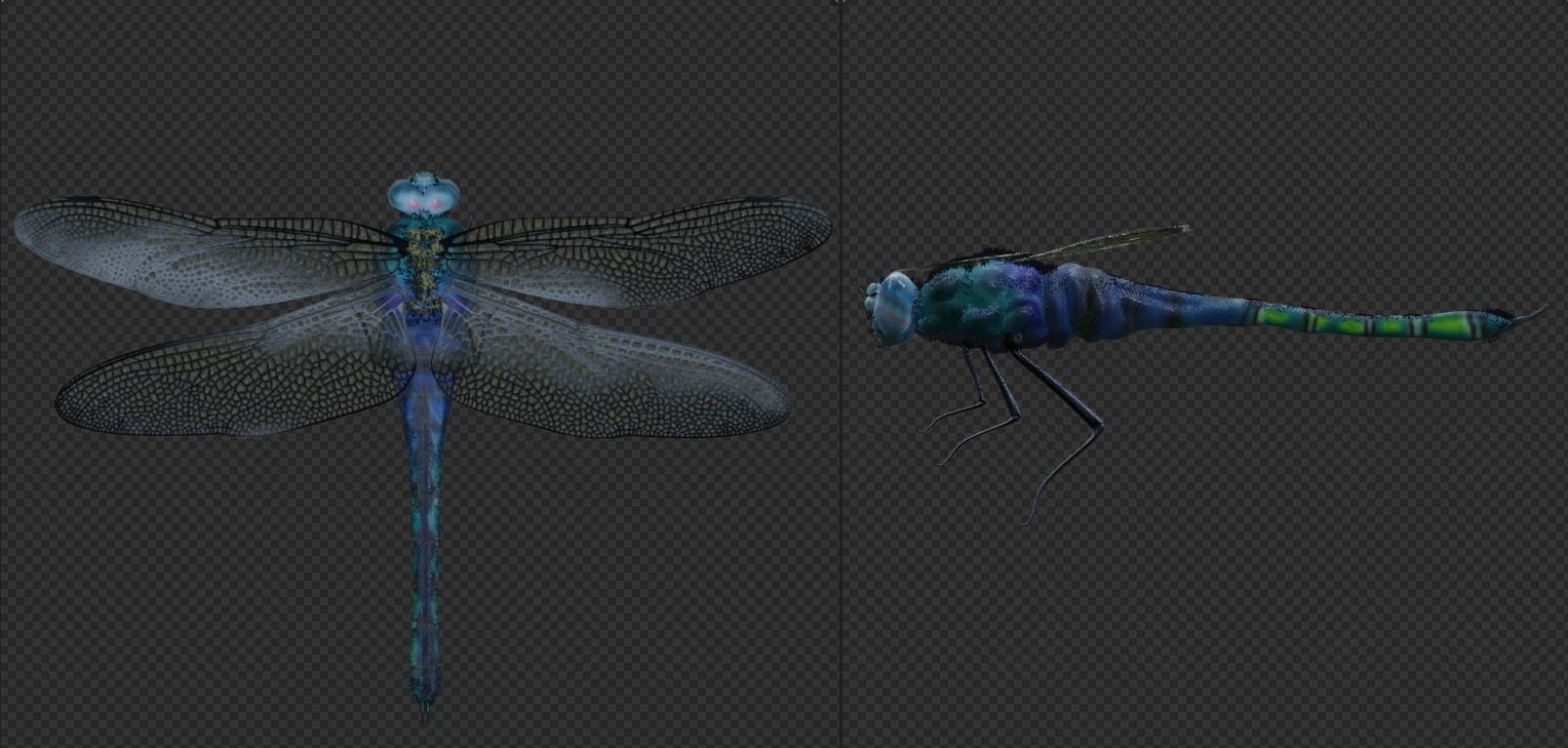 DragonFly 3D model in flight 3D model_1