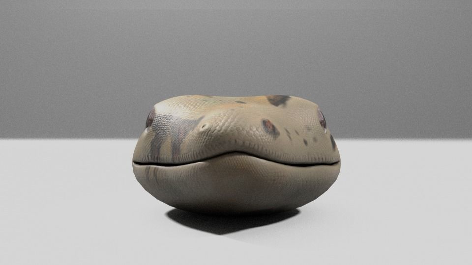 Boa Constrictor Snake Python Low-poly 3D model_7