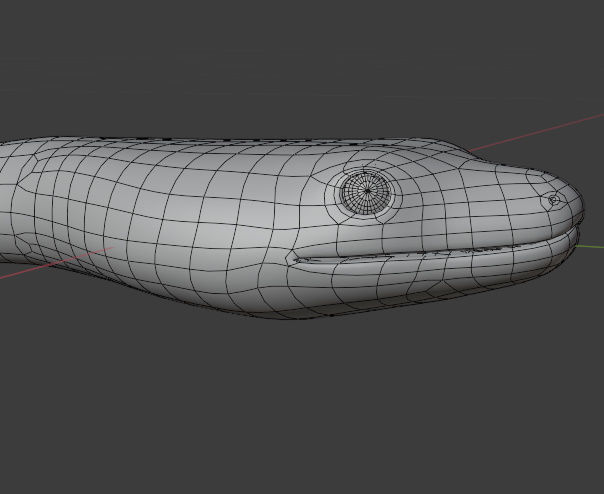 Boa Constrictor Snake Python Low-poly 3D model_35