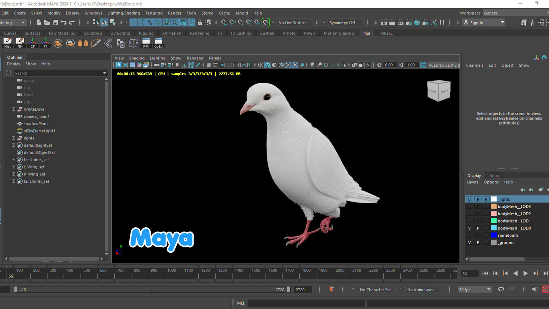Realistic Animated White Dove Low-poly Low-poly 3D model_10