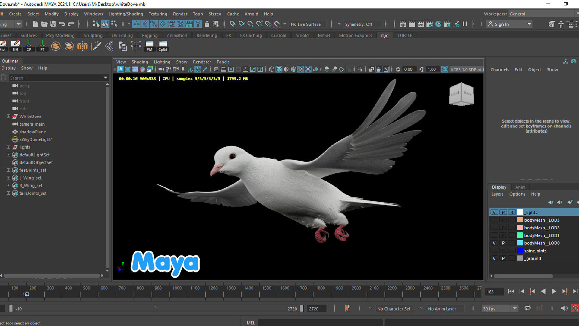 Realistic Animated White Dove Low-poly Low-poly 3D model_18
