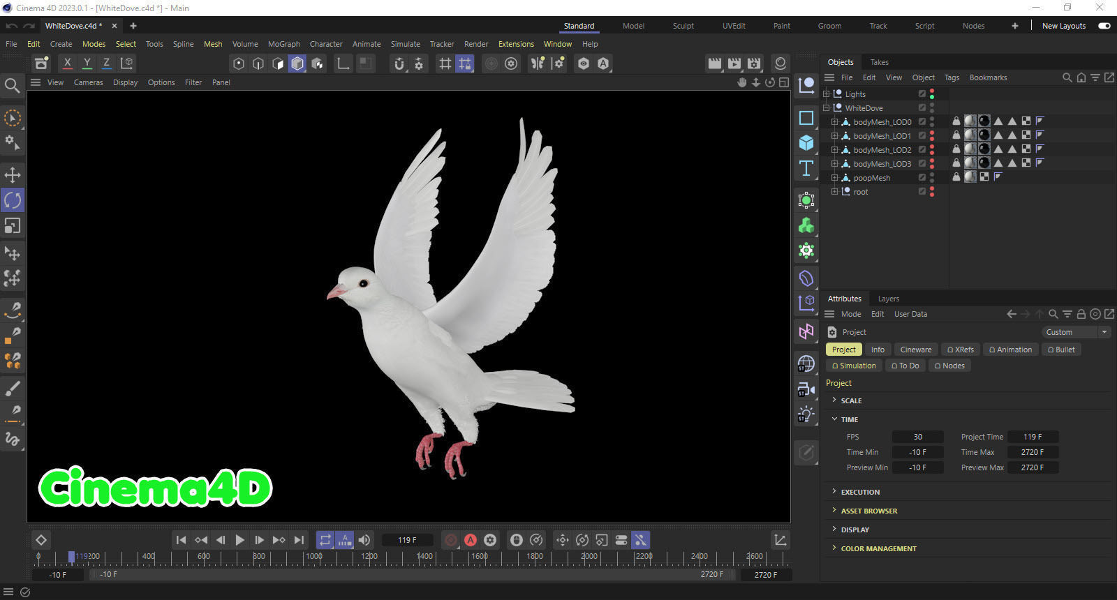 Realistic Animated White Dove Low-poly Low-poly 3D model_13