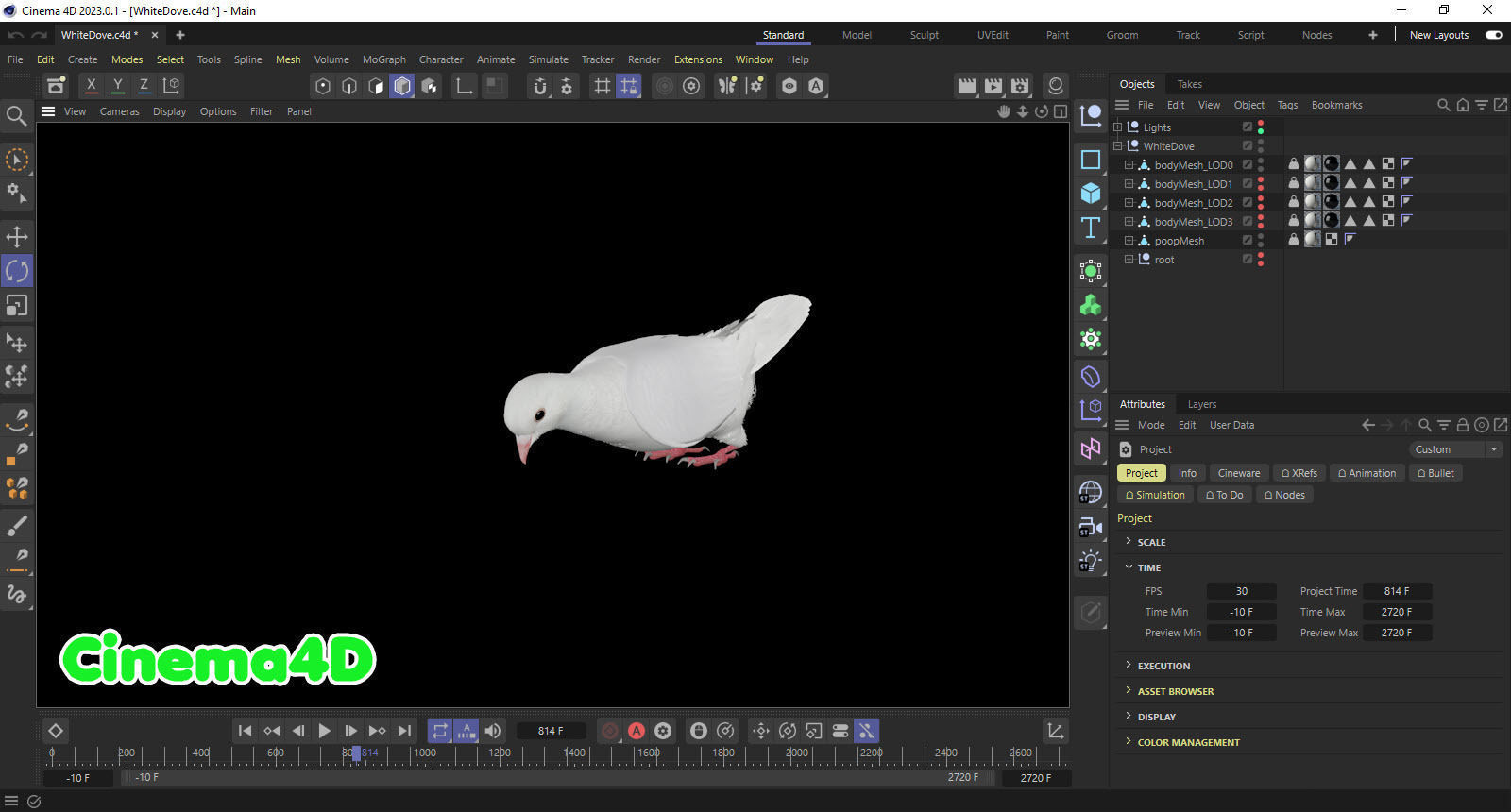 Realistic Animated White Dove Low-poly Low-poly 3D model_19
