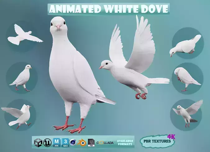 Realistic Animated White Dove Low-poly Low-poly 3D model