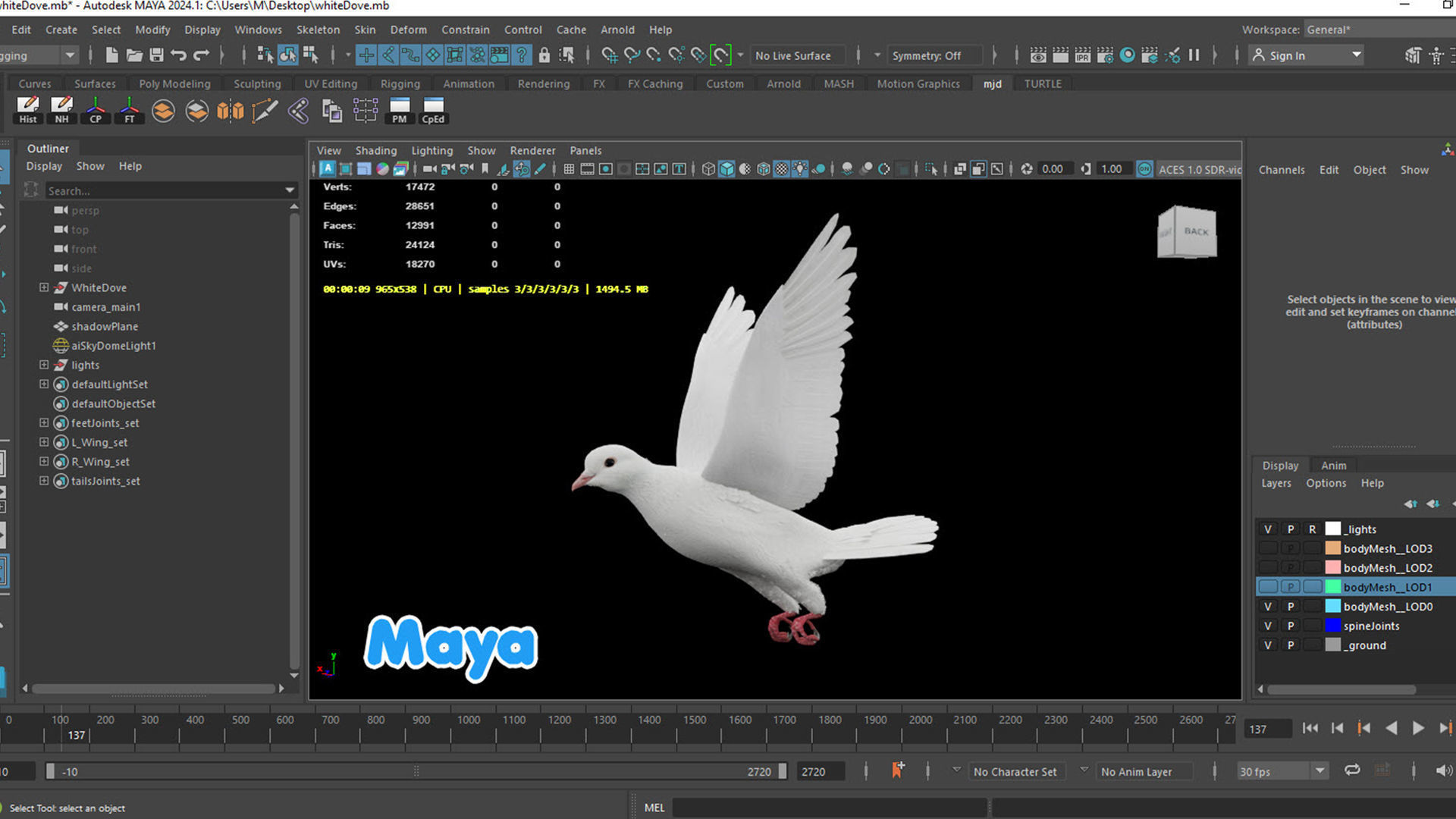 Realistic Animated White Dove Low-poly Low-poly 3D model_16