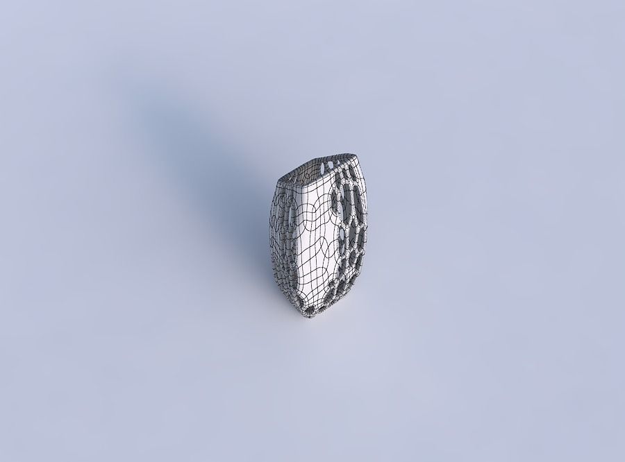 Vase bent rectangle with organic lattice and solid centers 3D print model_6