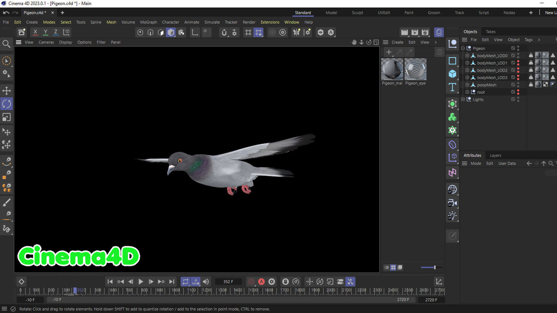 Realistic Animated Rock Pigeon Low-poly 3D model_9