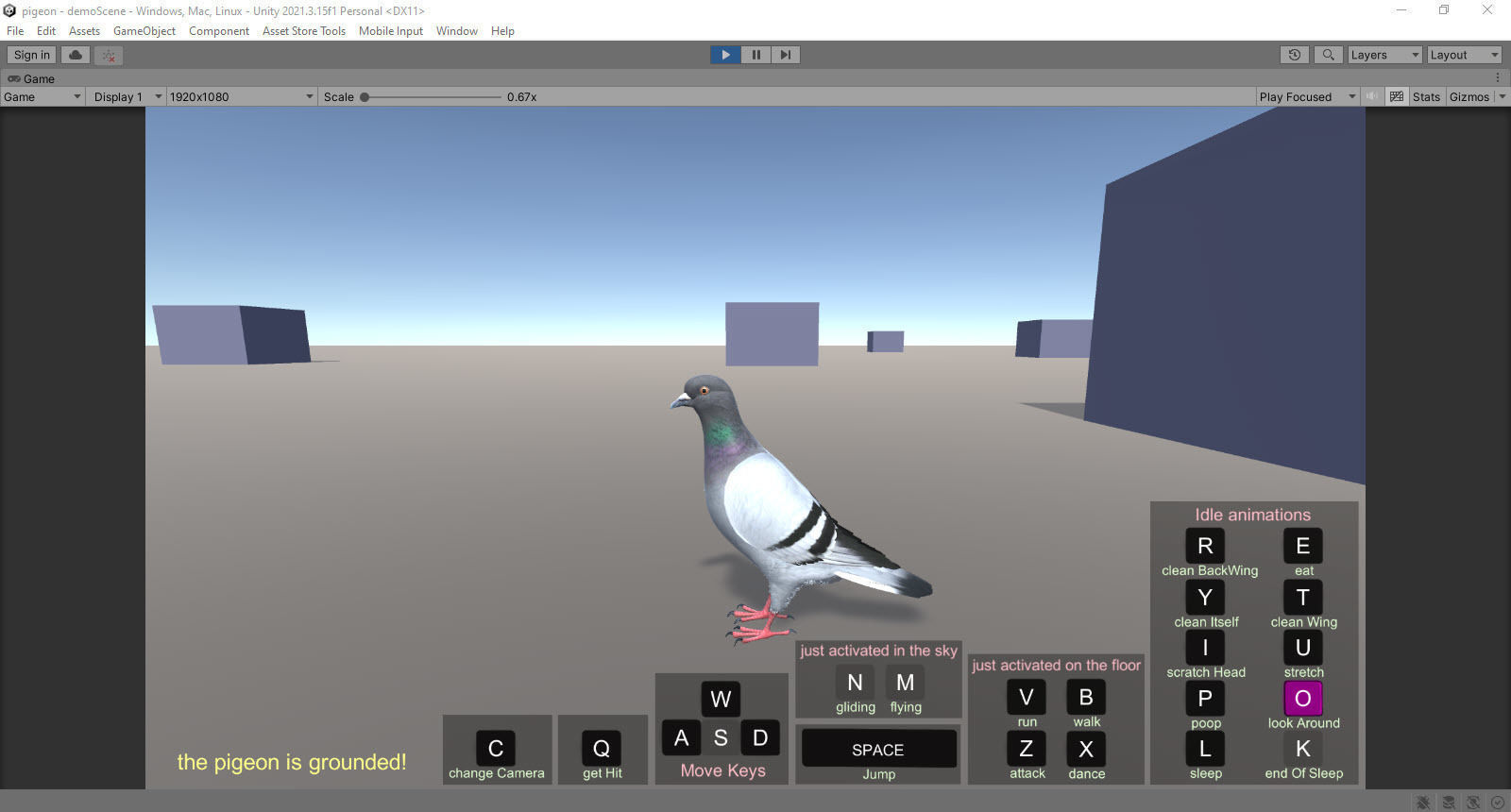 Realistic Animated Rock Pigeon Low-poly 3D model_18