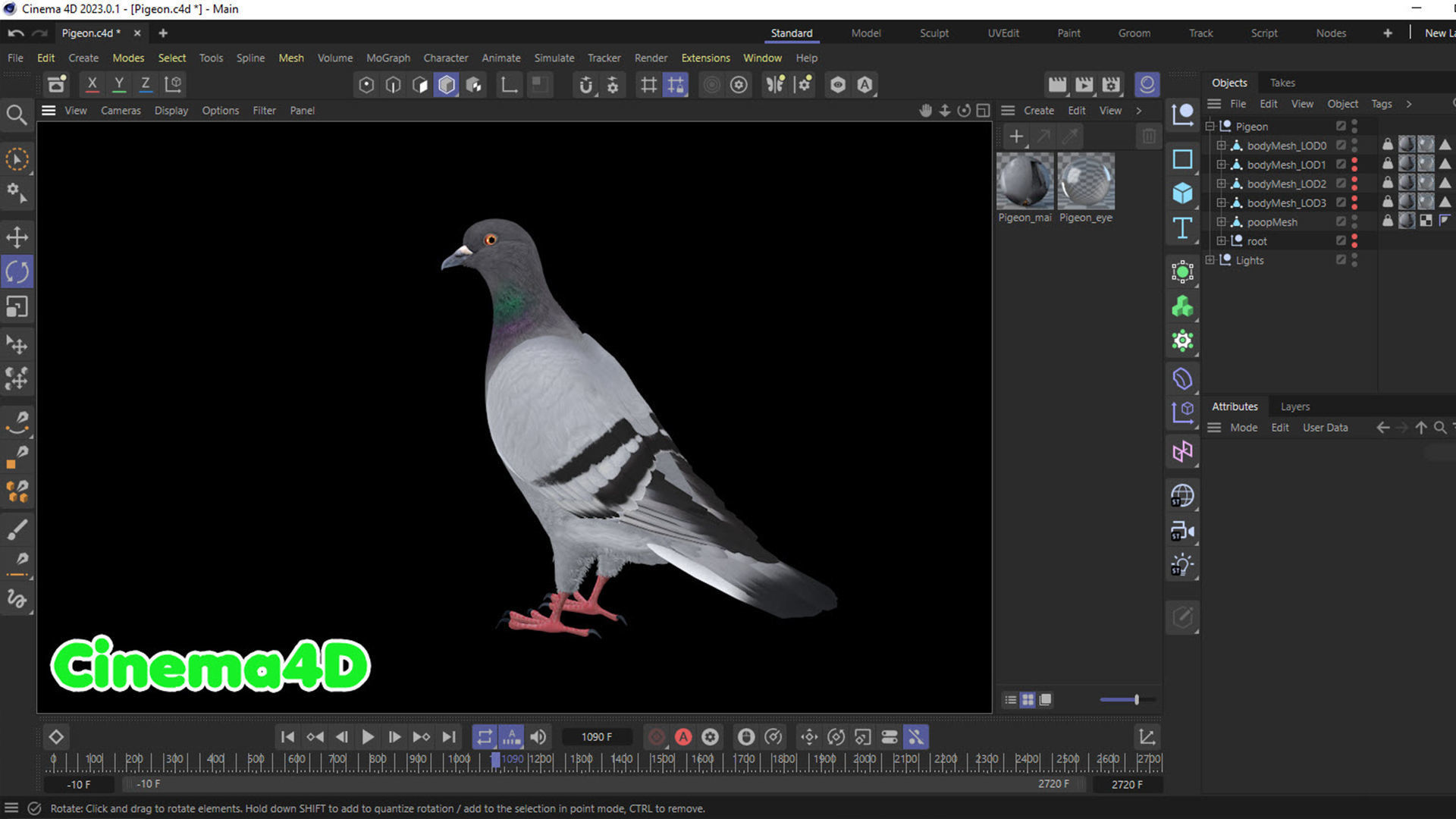 Realistic Animated Rock Pigeon Low-poly 3D model_16