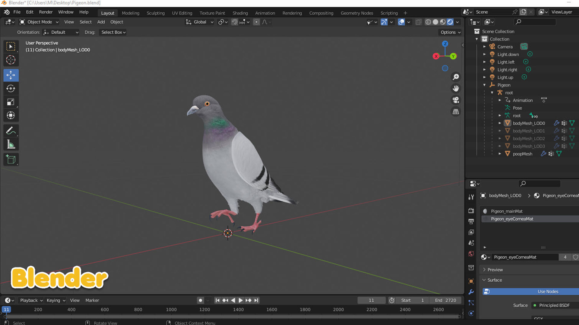 Realistic Animated Rock Pigeon Low-poly 3D model_17