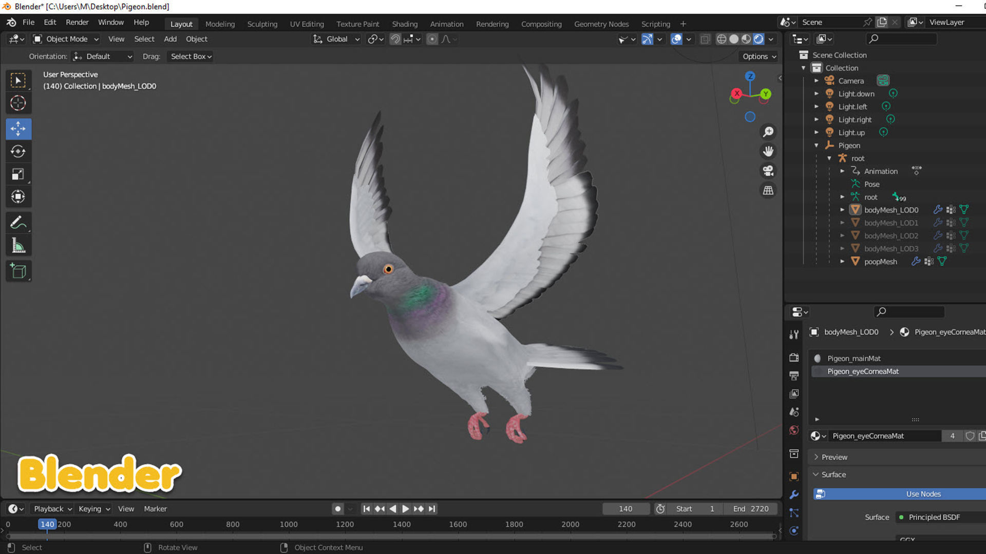 Realistic Animated Rock Pigeon Low-poly 3D model_11