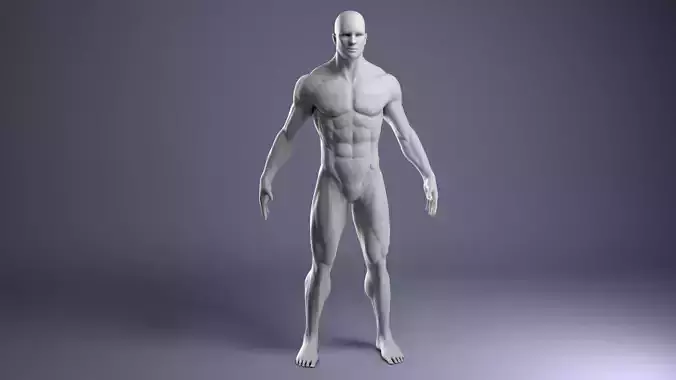 Realistic male body 