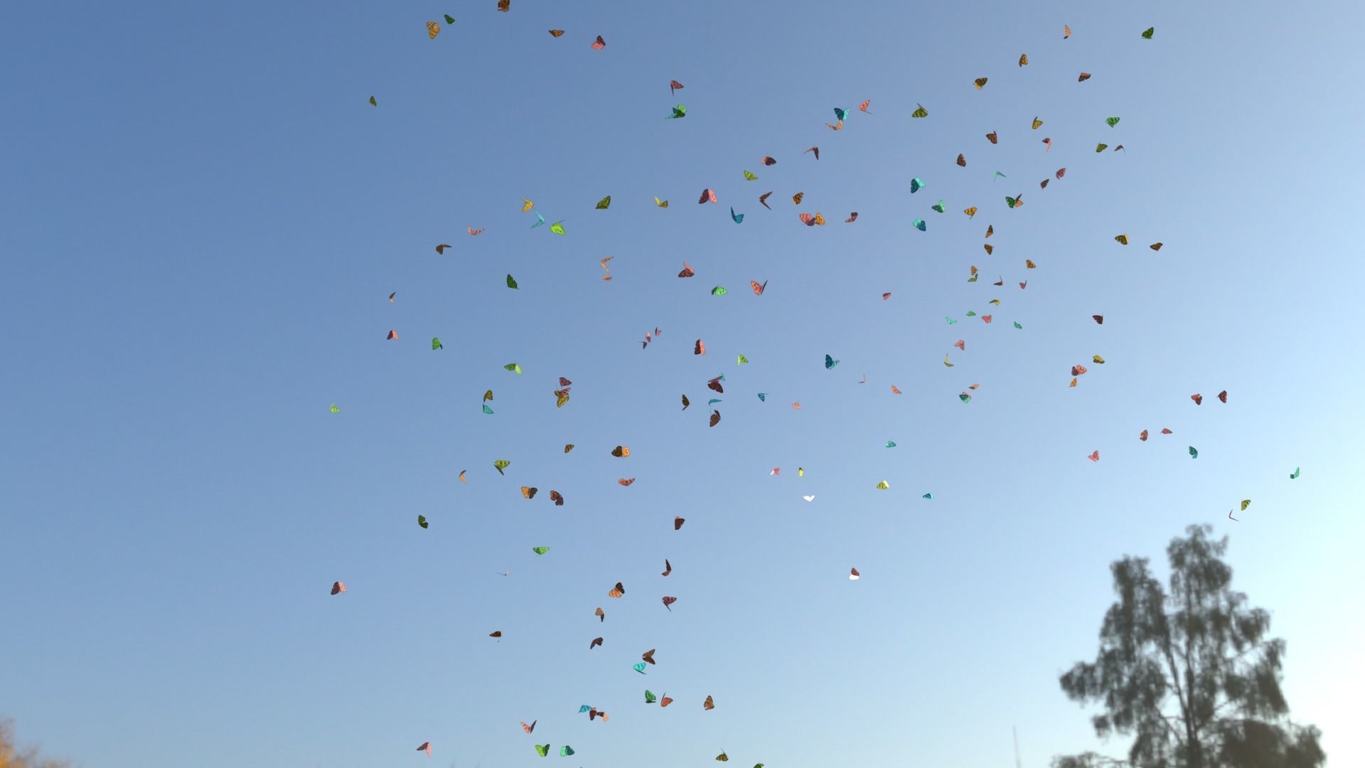 BUTTERFLIES ANIMATION Low-poly 3D model_4