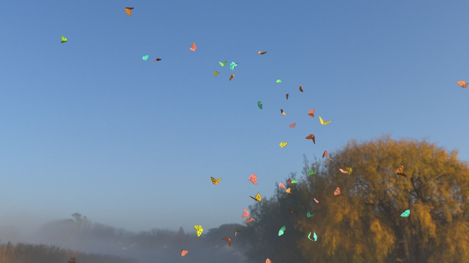 BUTTERFLIES ANIMATION Low-poly 3D model_5