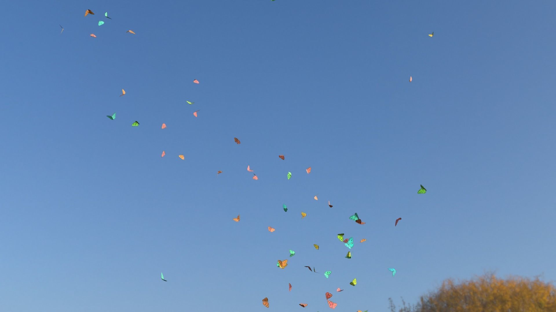 BUTTERFLIES ANIMATION Low-poly 3D model_7