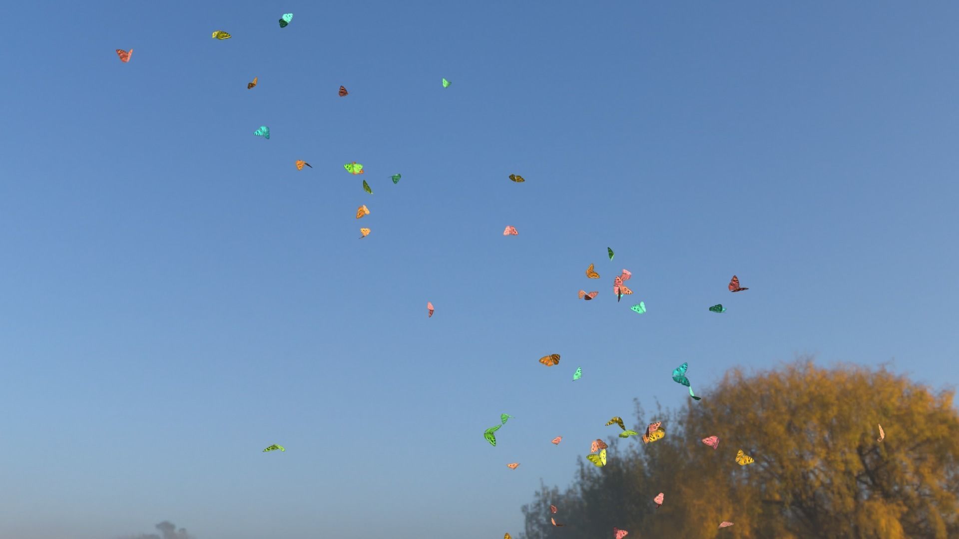 BUTTERFLIES ANIMATION Low-poly 3D model_6