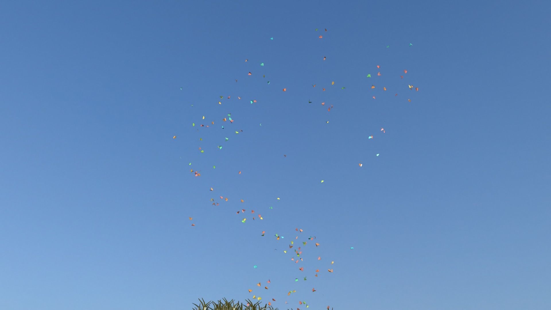 BUTTERFLIES ANIMATION Low-poly 3D model_14