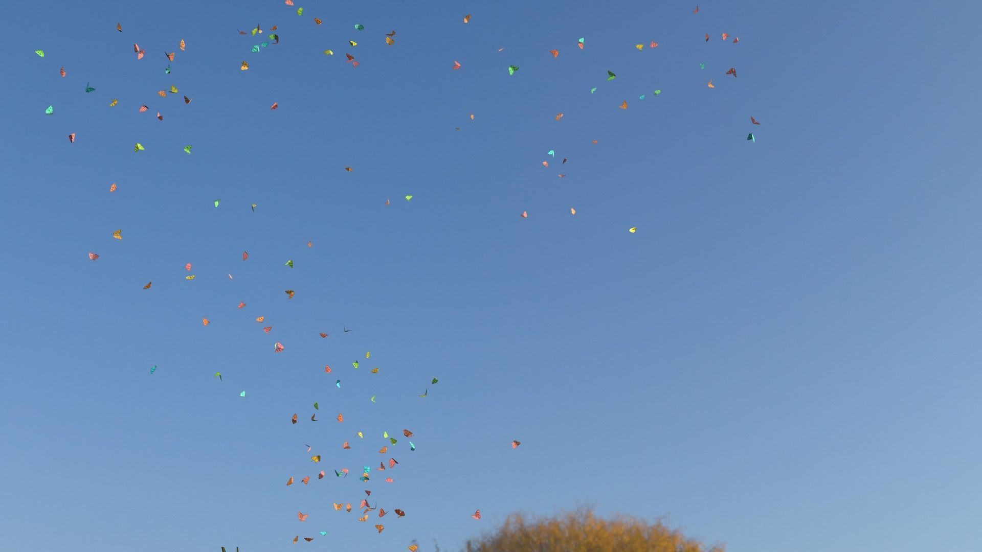 BUTTERFLIES ANIMATION Low-poly 3D model_16