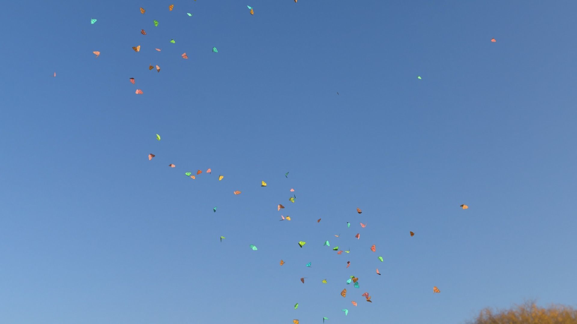 BUTTERFLIES ANIMATION Low-poly 3D model_8