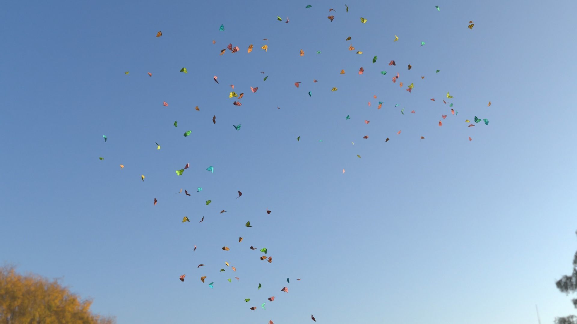 BUTTERFLIES ANIMATION Low-poly 3D model_18