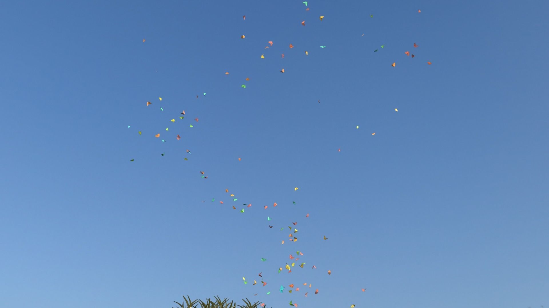 BUTTERFLIES ANIMATION Low-poly 3D model_10