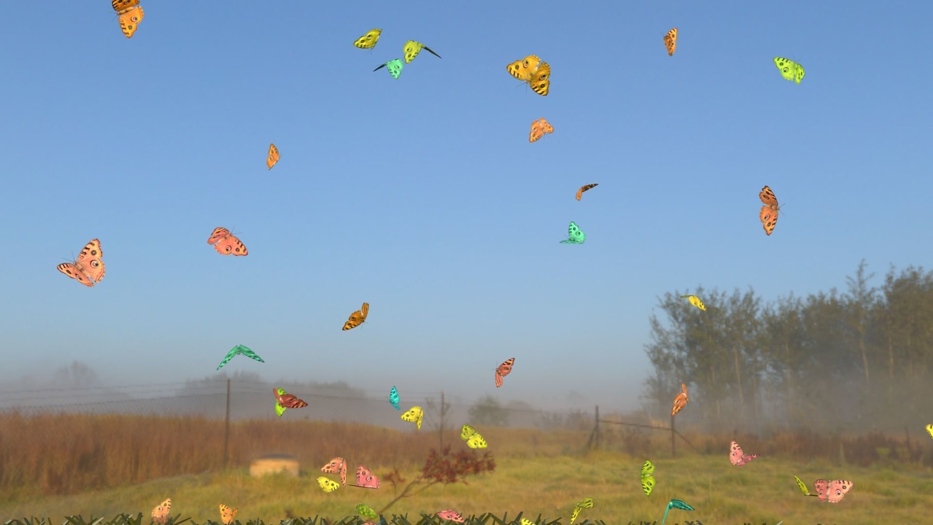 BUTTERFLIES ANIMATION Low-poly 3D model_3