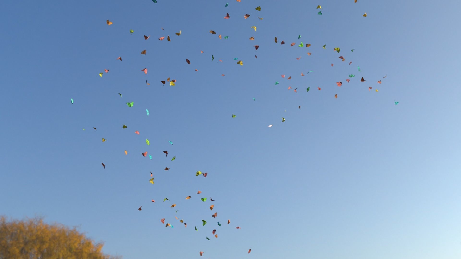 BUTTERFLIES ANIMATION Low-poly 3D model_17