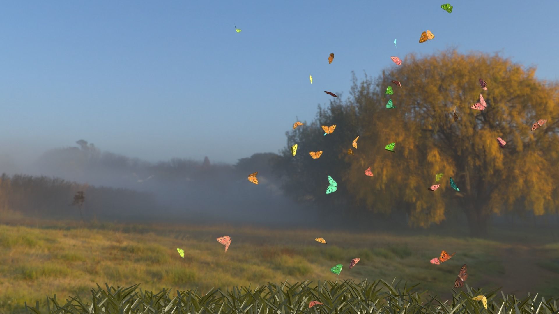 BUTTERFLIES ANIMATION Low-poly 3D model_2