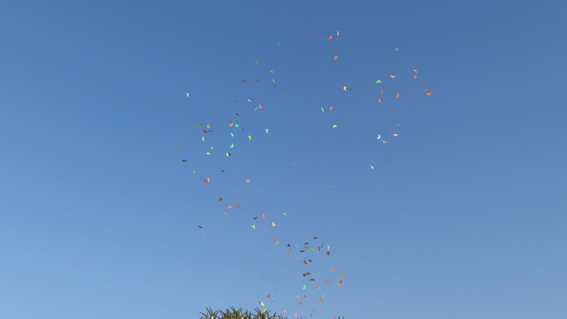 BUTTERFLIES ANIMATION Low-poly 3D model_13