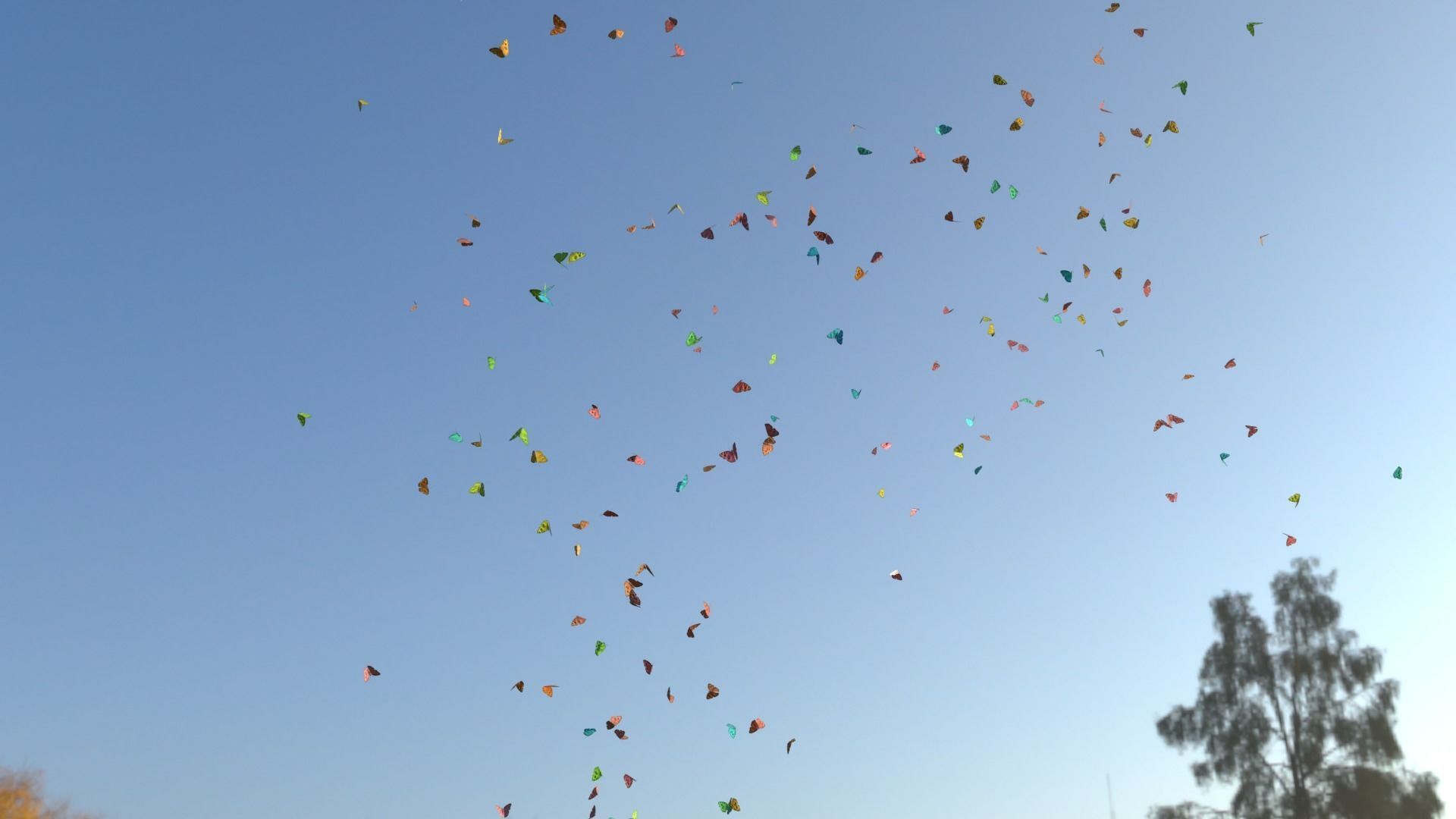 BUTTERFLIES ANIMATION Low-poly 3D model_19