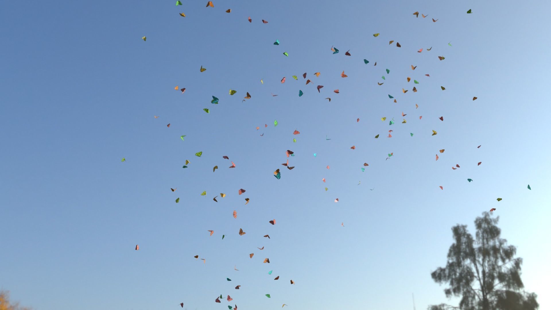 BUTTERFLIES ANIMATION Low-poly 3D model_20