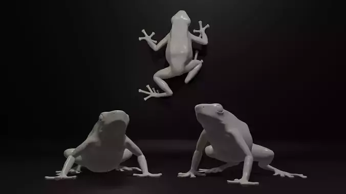 Dendrobate Auratus poison dart frog in 3 poses 3D print model