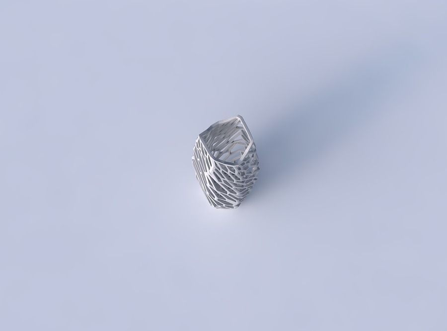Vase double arc hexagon with faceted and twisted organic lattice 3D print model_2